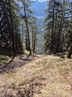 Fotografia z Wolfgang Wurzer 1 na trase