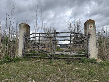 Fotografija s spletne strani Manon Sundorf na poti