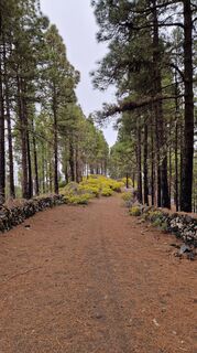 Foto de Romana Schönbauer a lo largo del recorrido