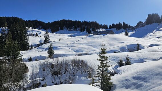 Foto de Marlyse Leu a lo largo del recorrido
