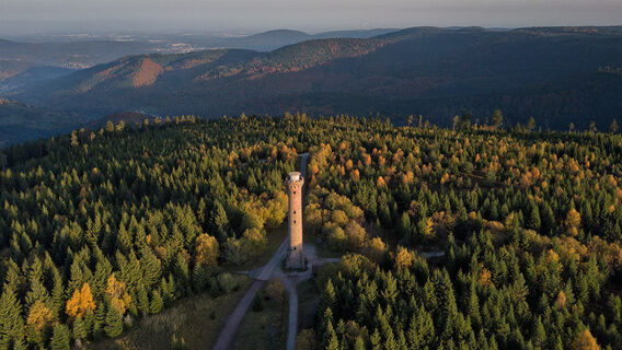 Zemljevid