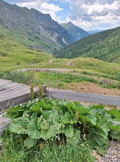 Fotó a Dagmar Hofer honlapról a túra során