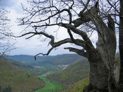 Blick vom Hanner Fels