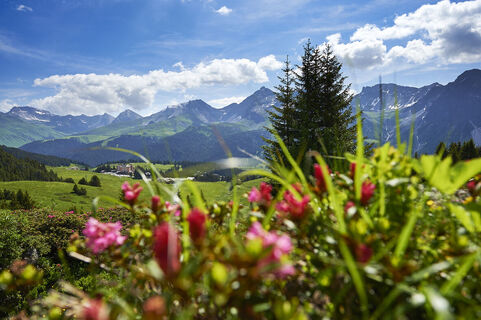 Die Aussicht von der Mittelstation