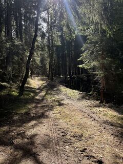 Foto von Andreas Sandberger entlang der Tour