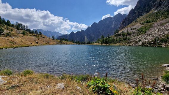 Fotografija s spletne strani Fabrizi Mellano na poti