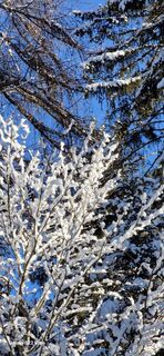 Fotografia z Mario Augustini na trase