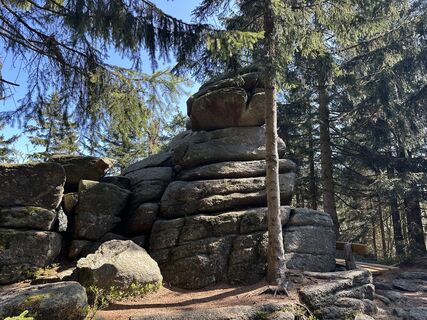 Photo from Dani Geiger / Natur_erleben_dg along the tour