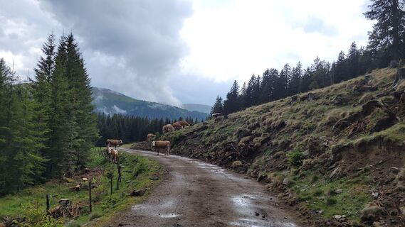 Foto von Juliane entlang der Tour