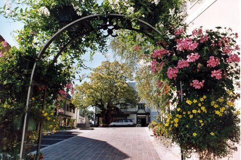 Blumenbogen_Miesenbach_Oststeiermark
