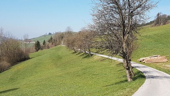 3.2 km Sonnberg