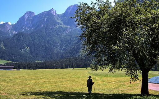 Am westlichen Fuß des Arlsteins: unten im Wald geht's zum Tricklfall