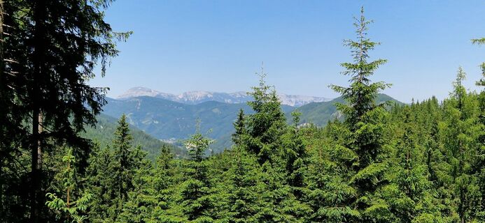 Foto da Utassy Tóth Johanna lungo il tour