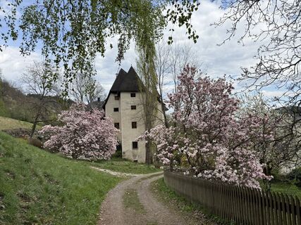 Fotografija s spletne strani Herwig Winkler na poti
