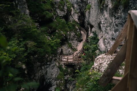 Wörschachklamm Spechtensee  006 © Christoph Lukas (2022-07).jpg