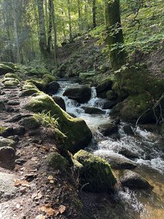 Foto von Jochen Reich entlang der Tour