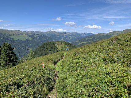 Photo de Koen De Wit le long du parcours