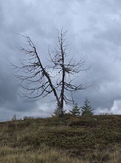 Foto von Wolfgang Reicher 2 entlang der Tour