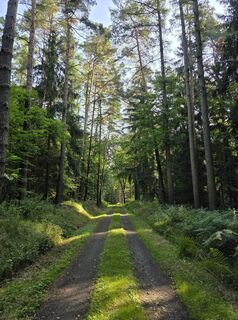 Foto fra Odett Rácz undervejs på turen