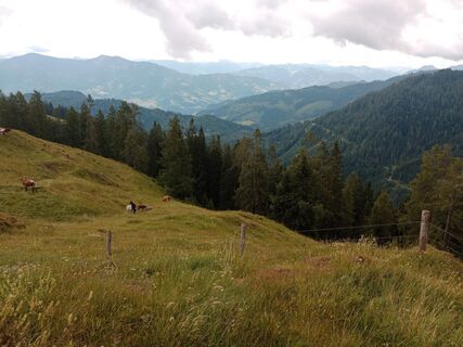Photo de handshifter le long du parcours