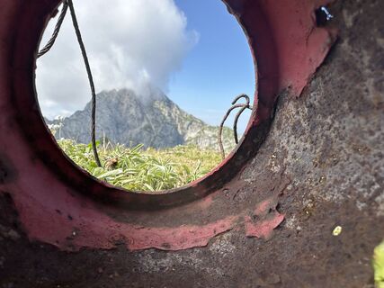 Foto von Natur_erleben_dg entlang der Tour