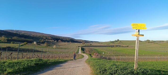 Foto von Stef canta entlang der Tour