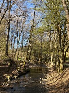 Fotografia z Leon Koslowski na trase
