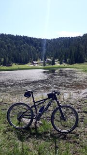 Wildmoosalm