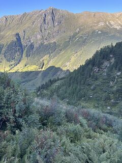 Foto de Harry a lo largo del recorrido