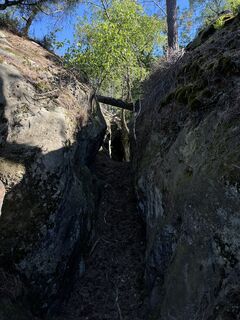 Photo de Paul le long du parcours