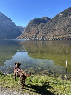 Foto von Car Wanderfreude entlang der Tour