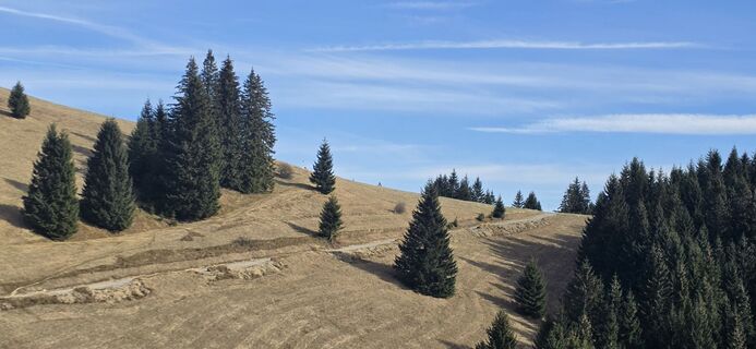 Foto von Peter A. entlang der Tour