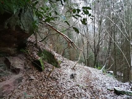 Ruine Waldeck-Trail