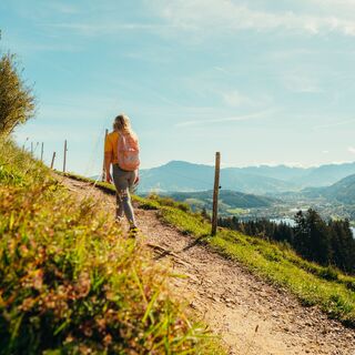 Auf dem Weg zur Siedelalpe  - Immenstadt im Allgäu