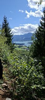 Foto von M Dicketmueller entlang der Tour