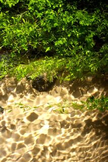Sonnenstrahlen im Wasser des Furlbachs