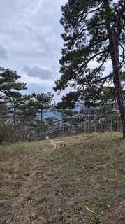 Foto von Claudia Maurer entlang der Tour