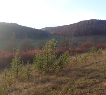 Blick ins Erfurter Tal