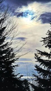 Photo de Elisabeth Rossa le long du parcours