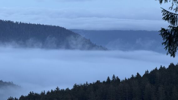 Fotografija s spletne strani Achim Breunig na poti