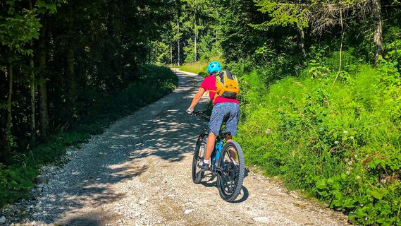 Am Weg zur Halleralm