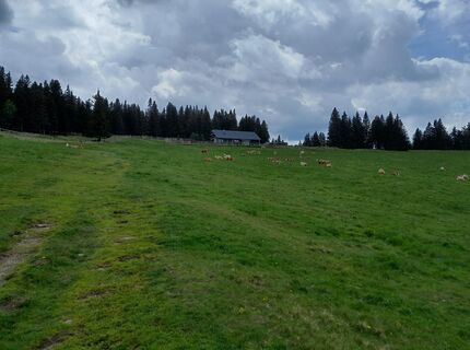 Photo de Josef Wind 1 le long du parcours