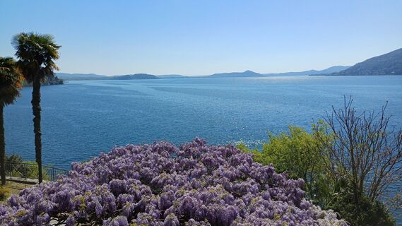 Fotografie z Volker Stähle na trase