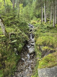 Fotografia z Alexander Becker na trase