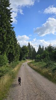 Foto von Astrid L. entlang der Tour