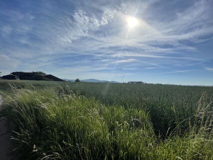 Fotografija s spletne strani Gerald na poti