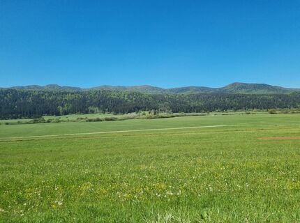 Foto de Grizli a lo largo del recorrido