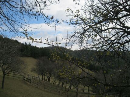 Payerbach - Bodenwiese