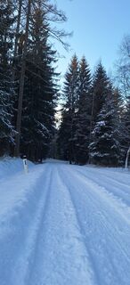 Foto de Deutsch Margit a lo largo del recorrido