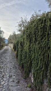 Foto von Biggi Djari entlang der Tour